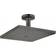 Hansgrohe Raindance E (26250340) Cromo, Nero