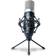 Marantz Professional MPM-1000 Microfono da studio a condensatore XLR con supporto da tavolo e cavo per podcast, streaming, canto, telelavoro e giochi