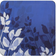 Denby Colours Blue Foliage Coaster 6pcs