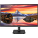 LG 24MP400-B 24' Full HD 1920 x 1080 IPS 75Hz AMD FreeSync HDMI D-Sub Tilt VESA Monitor