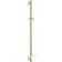 Grohe Rainshower SmartActive (26603GL0) Gold