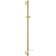 Grohe Rainshower SmartActive (26603GL0) Oro