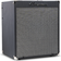 Ampeg RB-110