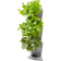Gardena NatureUp! Basic Set Corner Krukke & Urtepotte
