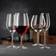 Nachtmann ViVino Vitvinsglas 37cl 4st