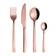 aida Raw Rosegold Bestickset 16st