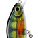 Rapala Super Shadow Rap 11cm Live Perch (PEL)