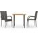 vidaXL 3072481 Ensemble repas de patio, 1 Table incluse 2 Chaises