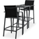 vidaXL 3073572 Ensemble de Bar d'Extérieur, 1 Table incluse 2 Chaises