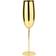 Paderno - Champagne Glass 27cl