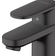 Hansgrohe Vernis (71550670) Matt black