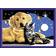 Ravensburger Painting by Number Beautiful Star Sky