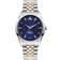 Vivienne Westwood The Wallace (VV208DBLSR)