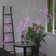 Star Trading Light Chain Extra Connecta Lampdel