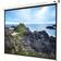 Celexon Ecran de projection Manuel Economy 108 po 4:3 Dos noir Blanc