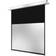 Celexon Electric Professional Plus Ecran de projection montable au plafond, montable sur mur motorisé 230 V 139" (353 cm) 16:10 blanc mat