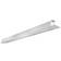Celexon Electric Professional Plus Ecran de projection montable au plafond, montable sur mur motorisé 230 V 139" (353 cm) 16:10 blanc mat