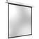 Celexon Motor Professional Plus Schermo per Proiettore 1:1 200 x 200 cm