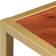 vidaXL 286187 Table Basse 50x90cm