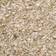 Trixie Beech Chaff