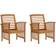 vidaXL 310258 2-pack Garden Dining Chair, Lounge Chair