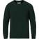 Colorful Standard Classic Merino Wool Crew Neck Emerald Green