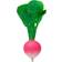 Oli & Carol Ramona the Radish Teether