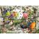 Ravensburger Our Feathered Friends 1000 Pieces
