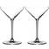 Riedel Extreme Martini Cocktail Glass 26cl 2pcs