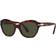 Persol Femme Sunglass PO0582S - Couleur du Monture - Havana