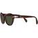 Persol Femme Sunglass PO0582S - Couleur du Monture - Havana