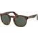Polo Ralph Lauren RL8146P 501752