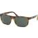 Polo Ralph Lauren Player Sunglasses Brown