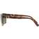 Polo Ralph Lauren Player Sunglasses Brown