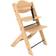 Treppy High Chair