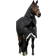 Horseware Amigo Super Bravo Plus buitendeken met afneembaar halsteil, 250