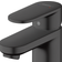 Hansgrohe Vernis Blend (71558670) Matt black