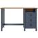 vidaXL 288997 Writing Desk 50x120cm