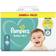 Pampers Baby Dry Size 4