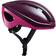 Brooks England Harrier