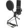 DeLock USB Condenser Microphone Set for Podcasting, Gaming and Vocals