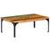vidaXL - Table Basse 60x100cm