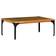vidaXL - Table Basse 60x100cm