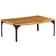 vidaXL - Table Basse 60x100cm