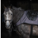 Horseware Amigo Competition Sheet Reflectech Gris/Noir gris
