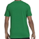 adidas Adicolor Classics Trefoil T-shirt - Green/White