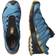 Salomon XA Pro 3D V8 M - Barrier Reef/Fall Leaf/Bronze Brown