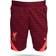 Nike Liverpool FC Strike Shorts Youth