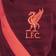 Nike Liverpool FC Strike Shorts Youth