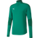 Puma teamFINAL 21 Training 1/4 Zip Top Men - Pepper Green/Power Green